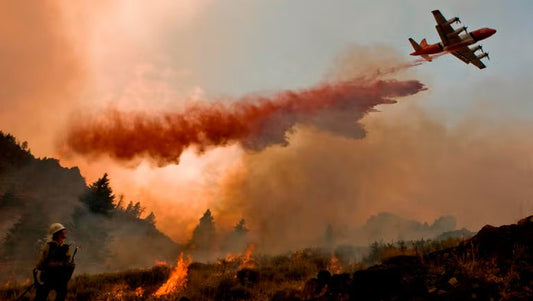 Wildfire response equipment and crews working fire line operations in remote forest terrain
